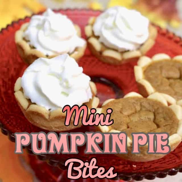 Mini Pumpkin Pie Bites